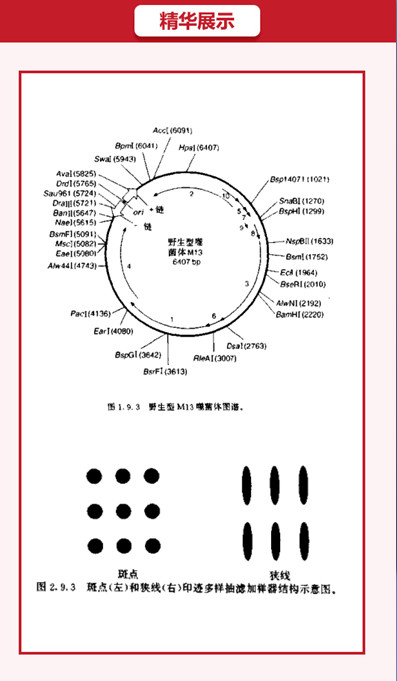 微信图片_20180615102127.jpg