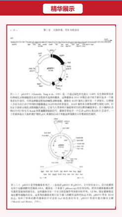 微信图片_20180621144639.jpg